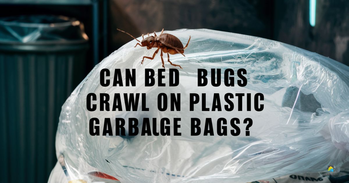 Can Bed Bugs Crawl on Plastic Garbage Bags - Trash Rite