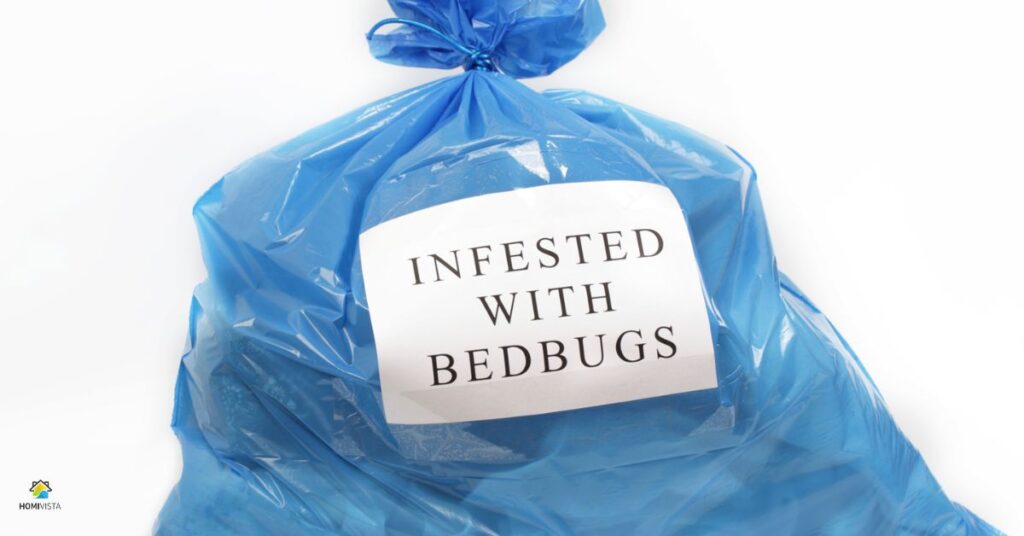 Can Plastic Bags Suffocate Bed Bugs