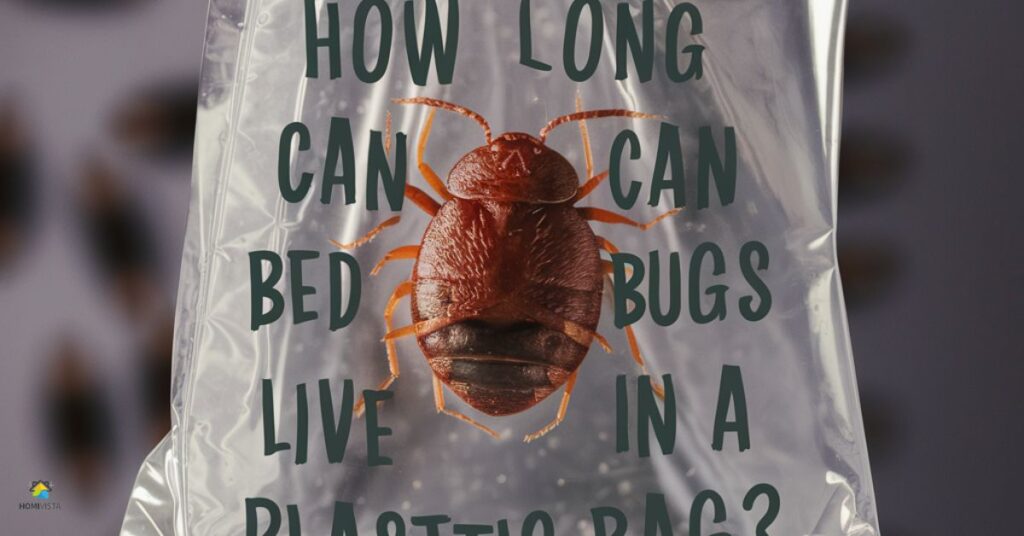 HOW LONG CAN BED BUGS LIVE IN A PLASTIC BAG