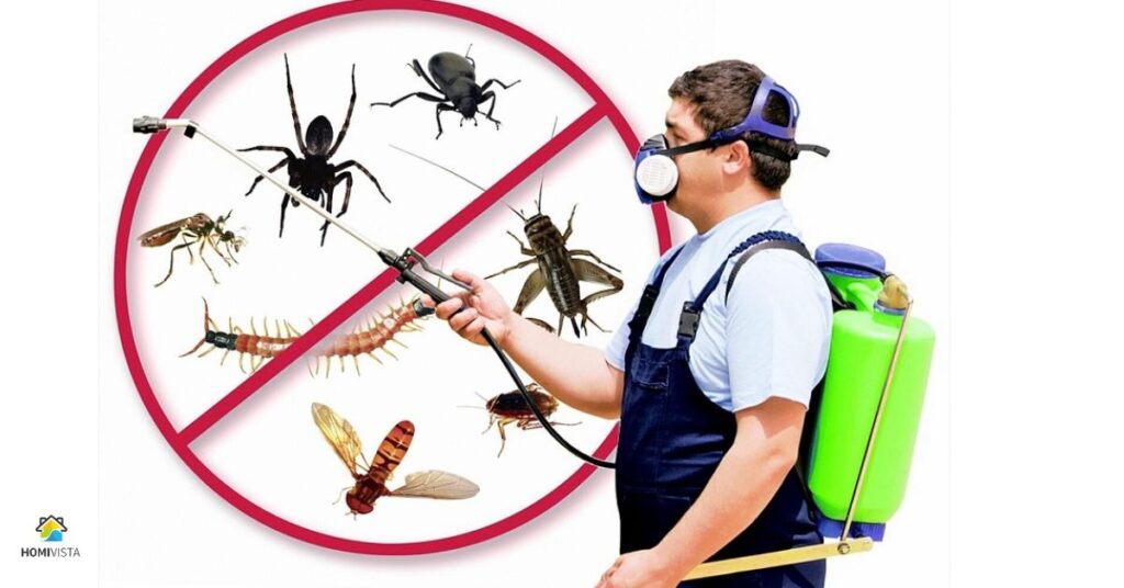 Implementation of Pests control Measures