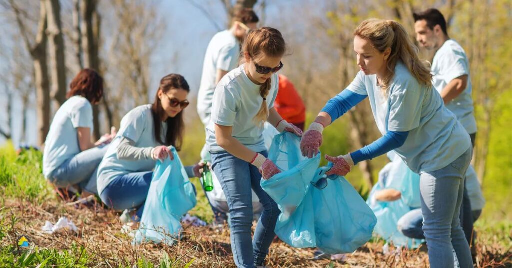 Keep a Clean Environment and Use Repellents