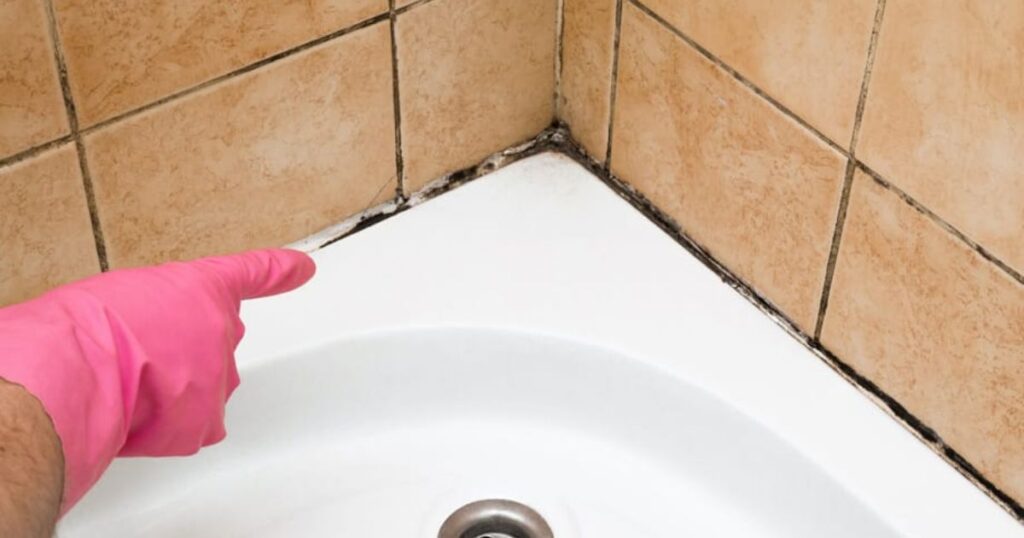 Kills Mold In A Bathroom