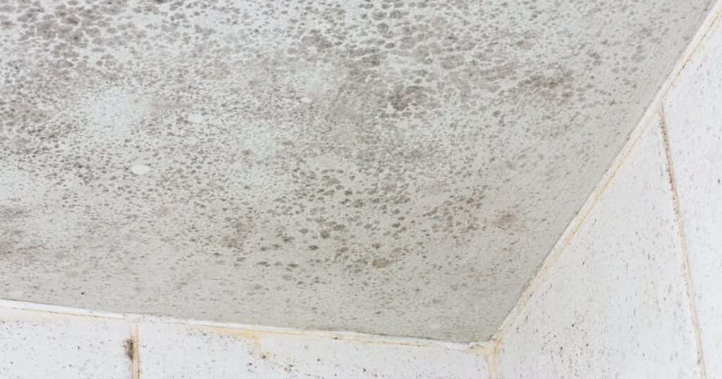 Mold on Bathroom Ceilings