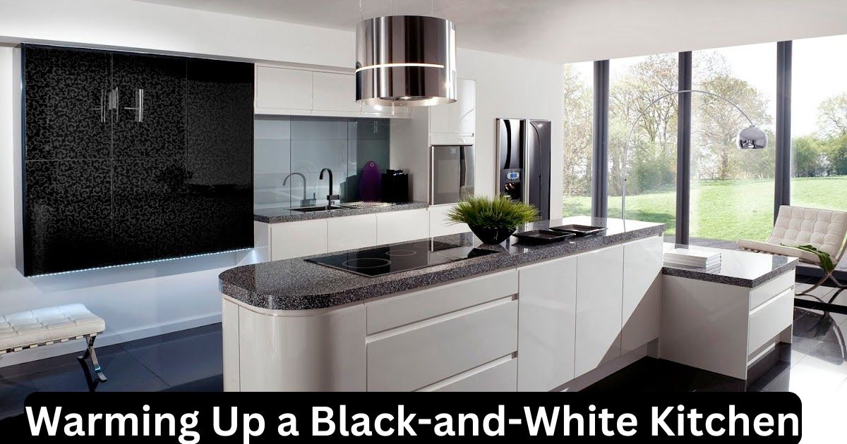 Warming Up a Black-and-White Kitchen